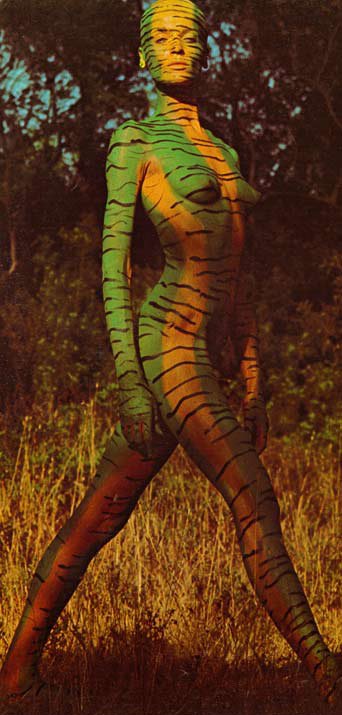 [VerushckaStripes2WEB.jpg]