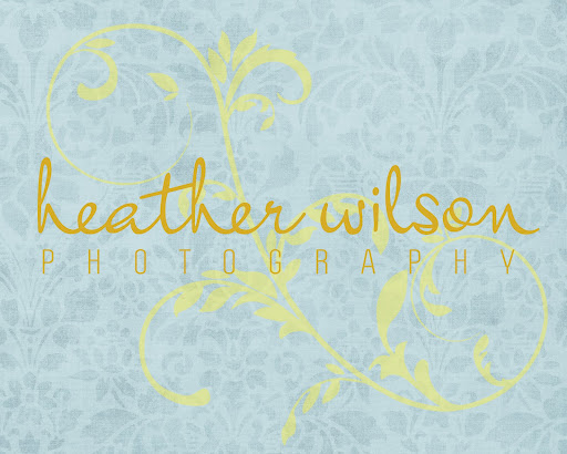 heather wilson photography
