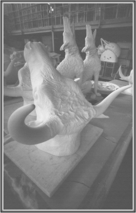 [BORPI0249ESPECBR.jpg]