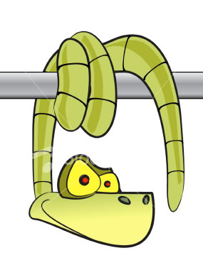 [hanging+snake.jpg]