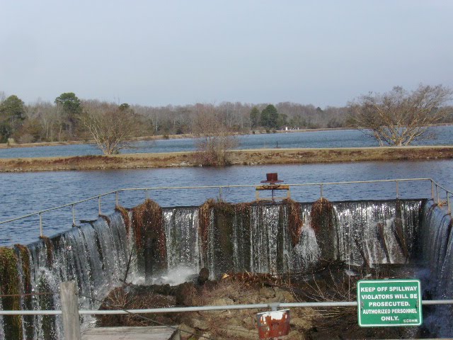 [PICT0004.JPG]