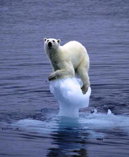 [global-warming.jpg]