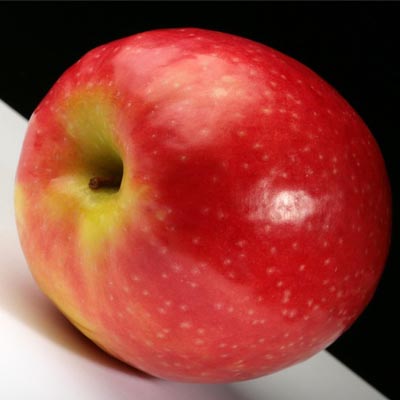 [apple.jpg]