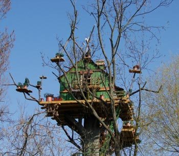 [casa-da-arvore-21.jpg]
