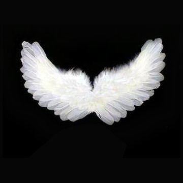 Angel Wings Photo