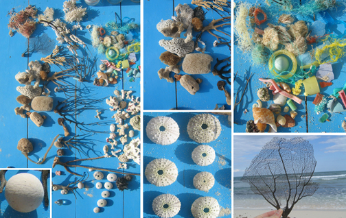 [beachstuff_kindra.jpg]