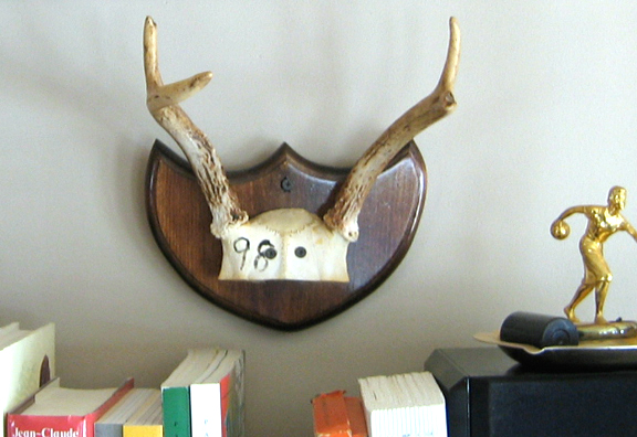 [shelf2.jpg]