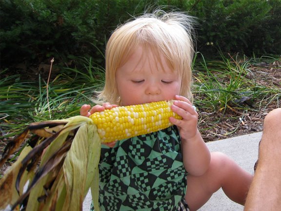 [corn19month.jpg]