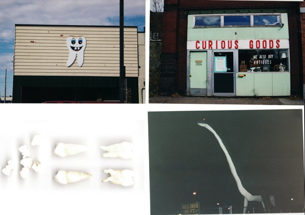 [curiousgoods.jpg]