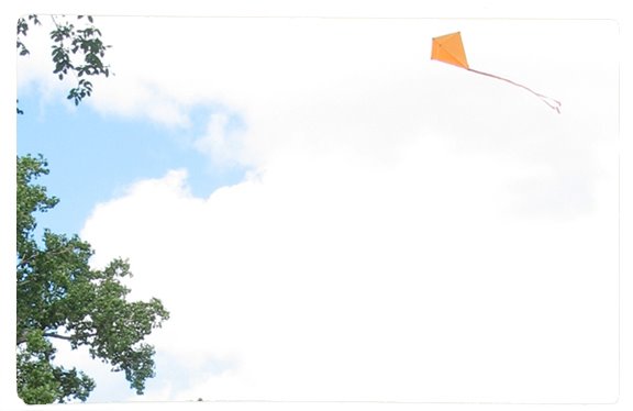 [kite.jpg]