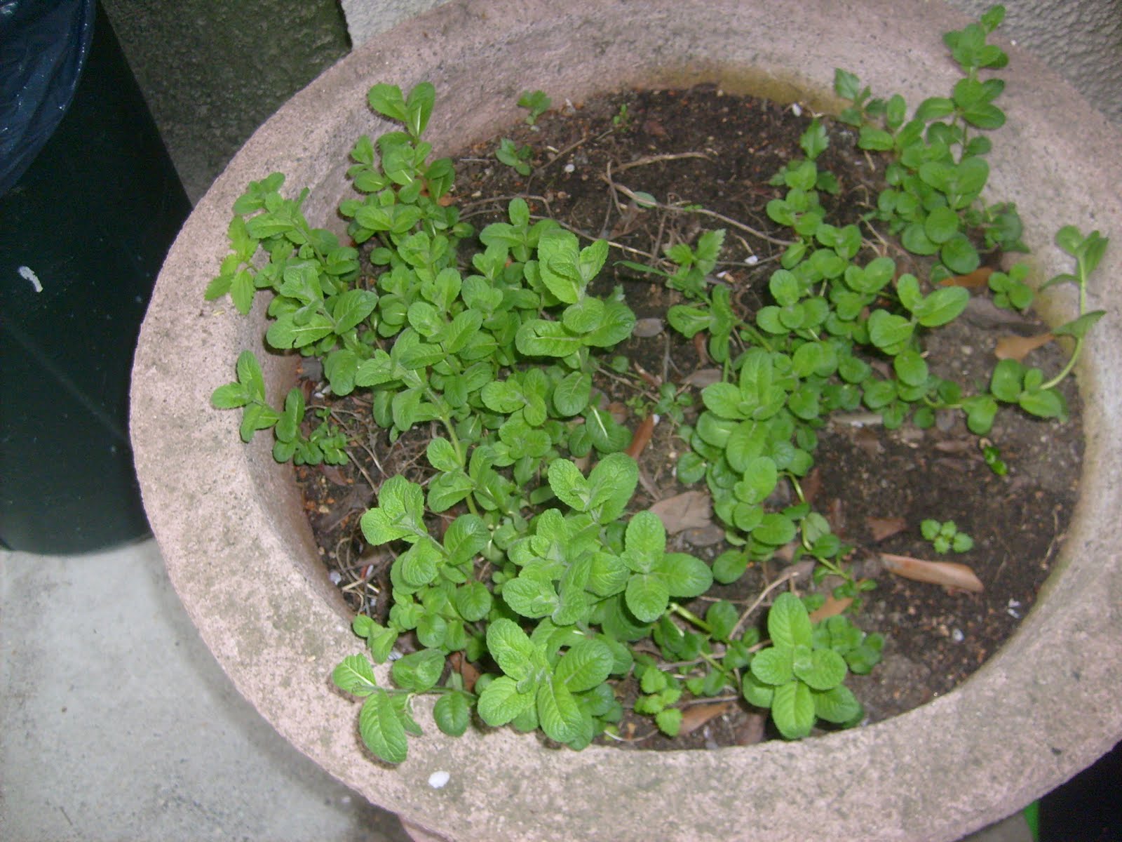 [S6300437.JPG]