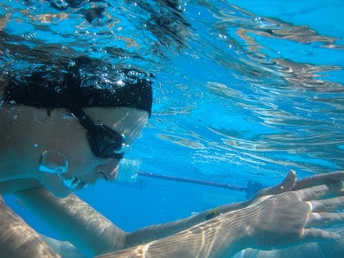 swimming lessons poetry book