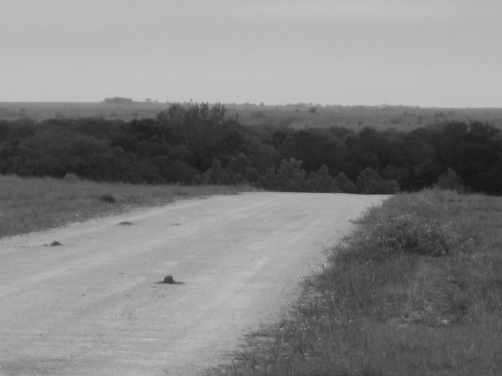 [road.JPG]