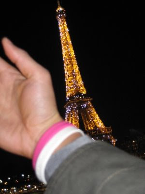 Eiffel Tower (Daytime) Paris paris france eiffel tower black and. Eiffel Tower (Daytime) Paris