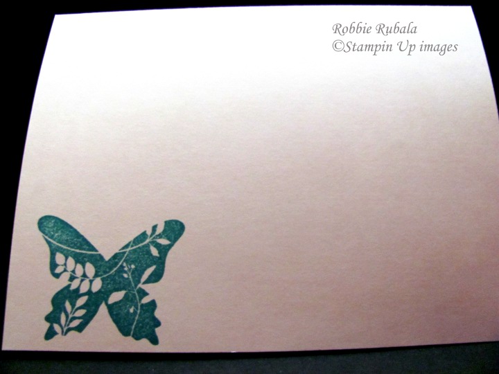 [Ringed+Butterflies+inside.jpg]