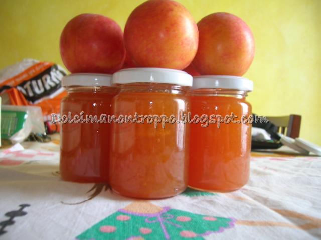 Dolcimanontroppo La Mia Marmellata Di Prugne Goccia D Oro