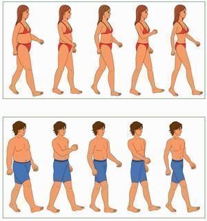 FAT to FIT Programs by Dr.Bharat