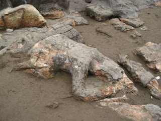 batu malin kundang misteri batu malin kundang, fakta malin kundang, akibat kutukan