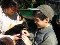 Fotografia de um menino surdocego a fazer festas a um animal, na visita ao Zoo