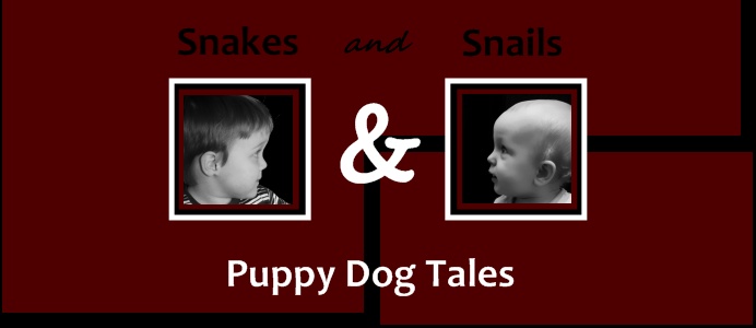 Snakes and Snails and Puppy Dog Tales