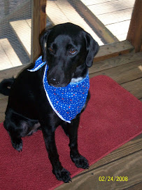 Daisy Jane