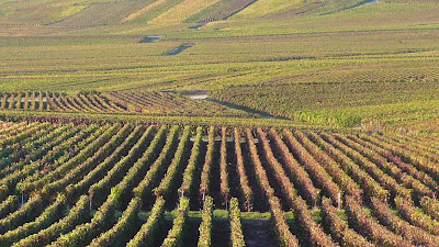 vallons de la Champagne vallons de Champagne