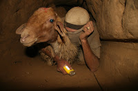 mouton dans le tunnel