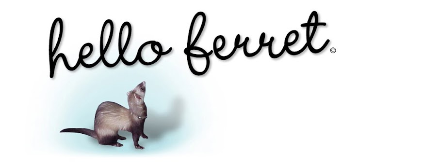 helloferret-etsyfinds