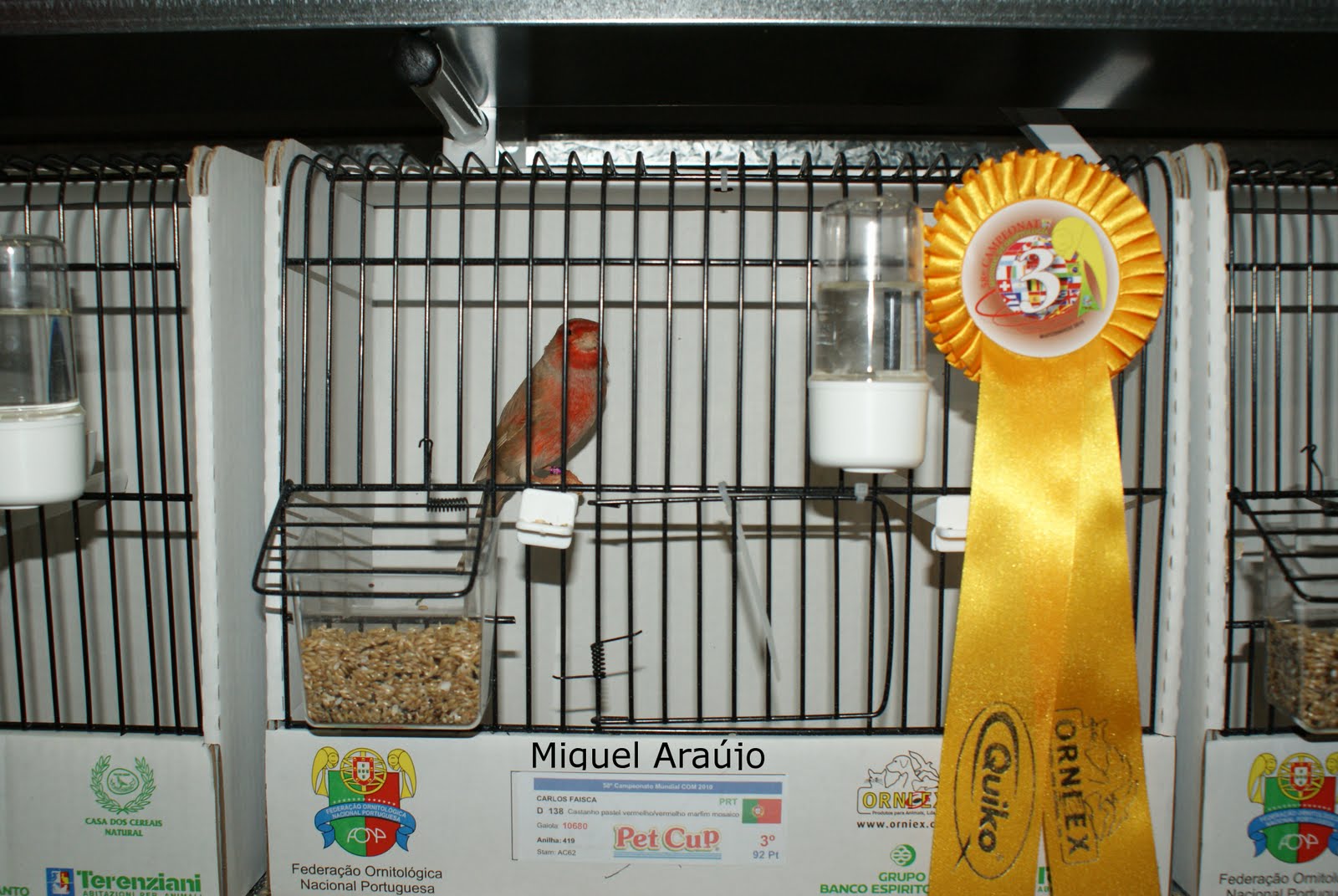 [CArlos+Fa+¡sca+3.JPG]