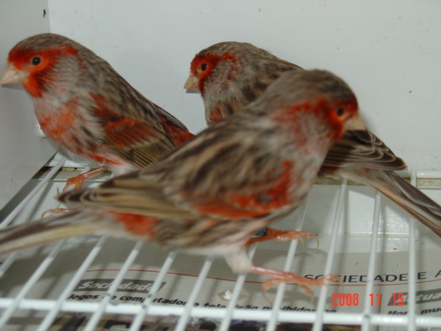 [DSC04830.JPG]