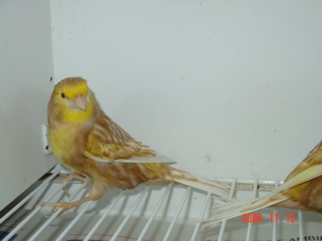 [DSC04813.JPG]
