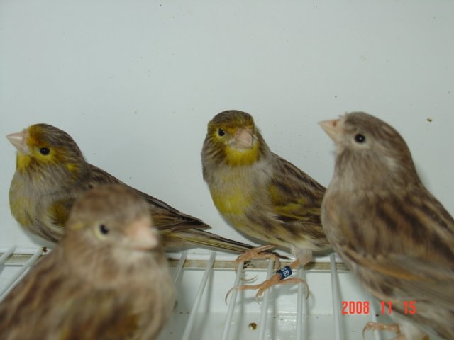 [DSC04924.JPG]