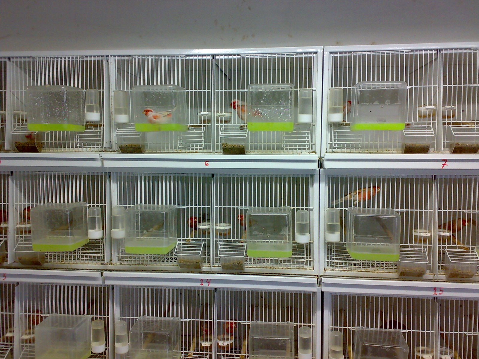 [09112008256.jpg]