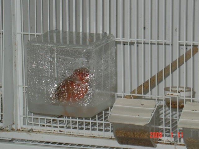 [DSC05058.JPG]