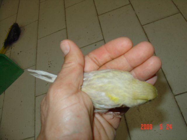 [DSC05557.JPG]
