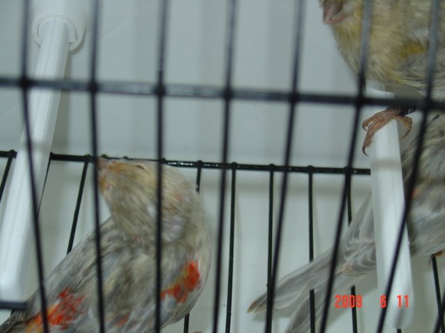 [DSC05628.JPG]