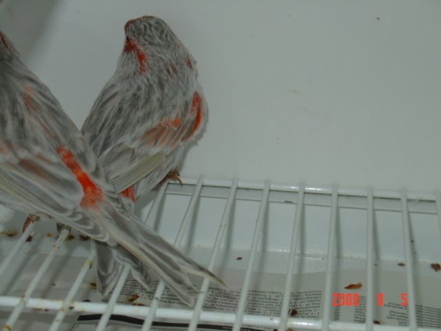 [DSC05816.JPG]