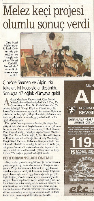 Yeni Asır Gazetesi