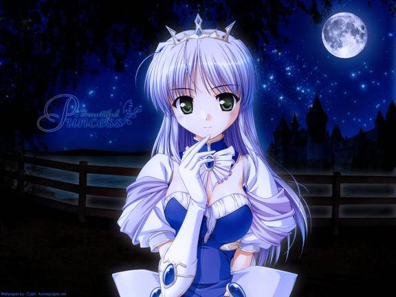 Anime Moon Princess