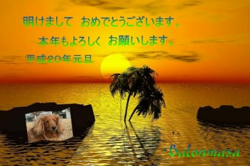 [11-01.JPG]