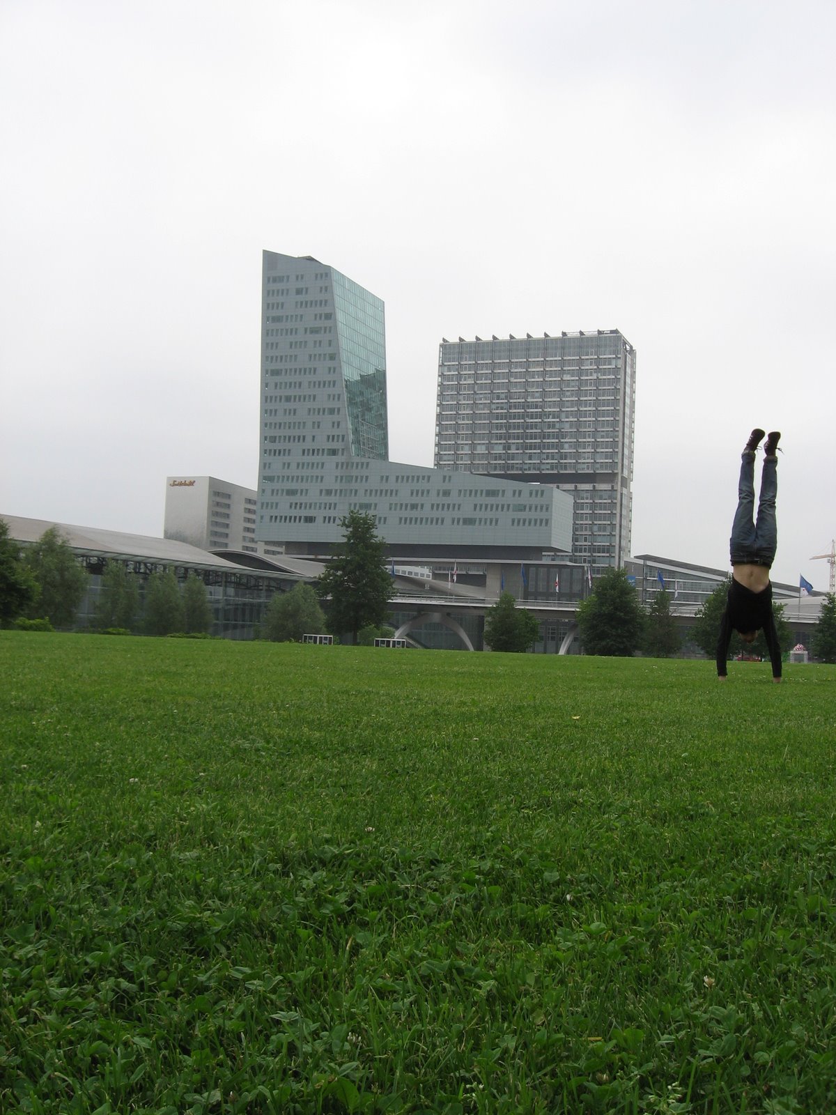 [IMG_7111.JPG]