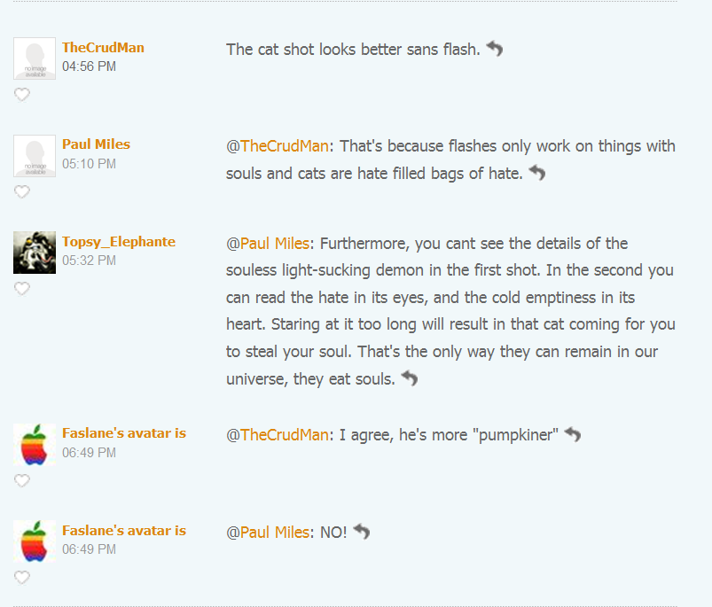 [cat+comment.png]