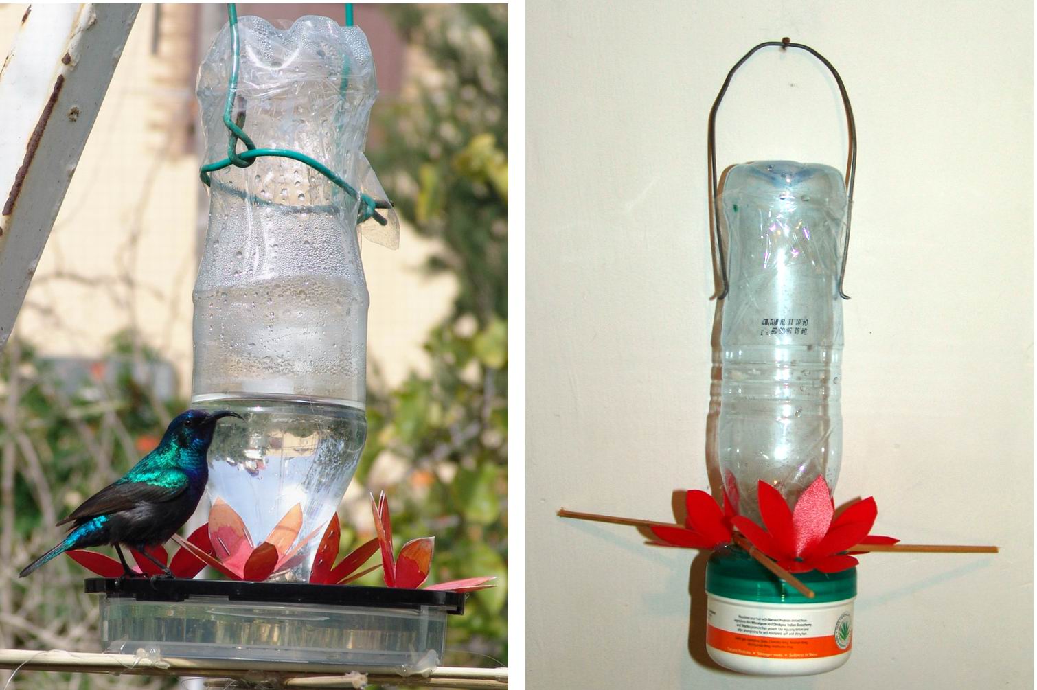 Making humming birds / sunbirds feeder Make humming birds / sunbirds