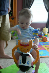 Ian and his Zebra....