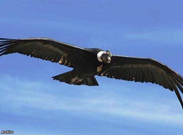 musique dans rencontre a wicker park