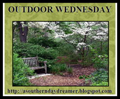 [Outdoor+Wednesday+logo_thumb[2].png]