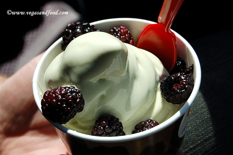 [red-mango-frozen-yogurt-blackberry.jpg]
