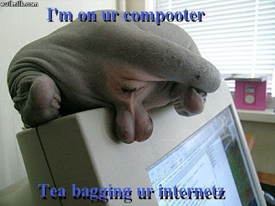 GOP.com is tea bagging the President and Nancy Pelosi online, and all sorts ... Tea Bagging Cat Labels:humour,life adult jokes, funny pictures