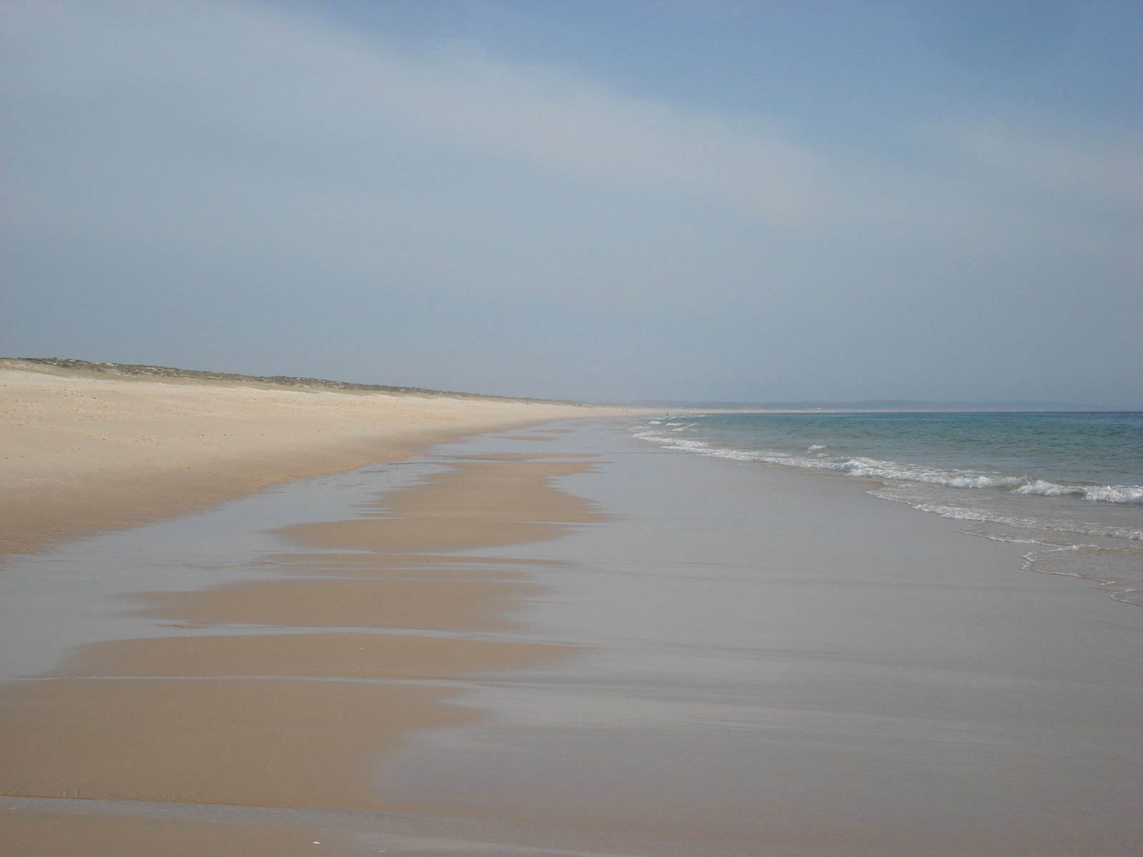 [DSC08951.JPG]