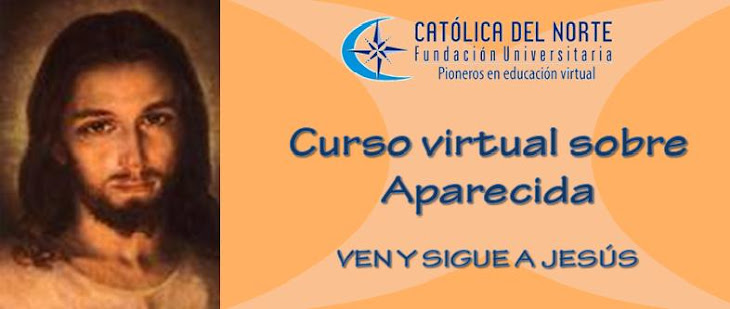 Curso virtual sobre aparecida